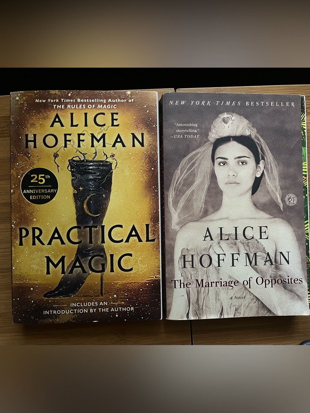 Alice Hoffman Books - Practical Magic and The Marriage of Opposites